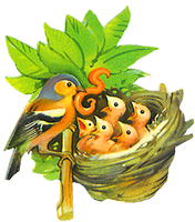 a birds nest with hatchlings